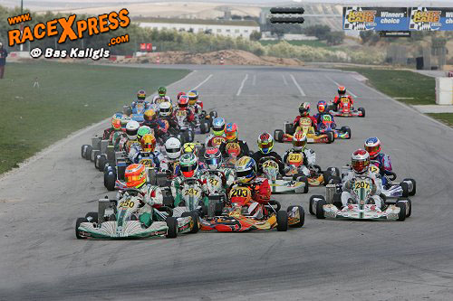 Rotax Max Senior